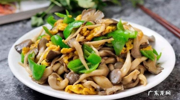 平菇怎么做好吃,平菇怎么吃好吃又简单