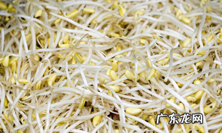 清汤锅底怎么调,老北京清汤锅底配料有什么