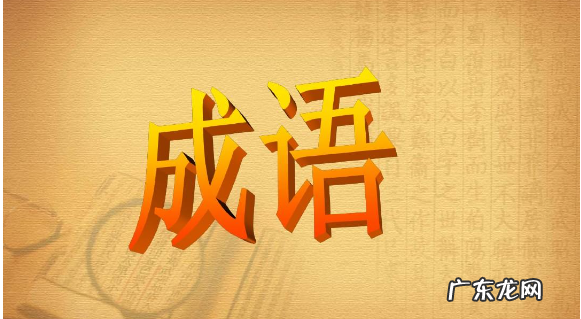 不什么声什么成语,不什么声什么的成语
