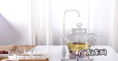 养生壶可以煮哪些东西,养生壶煮什么