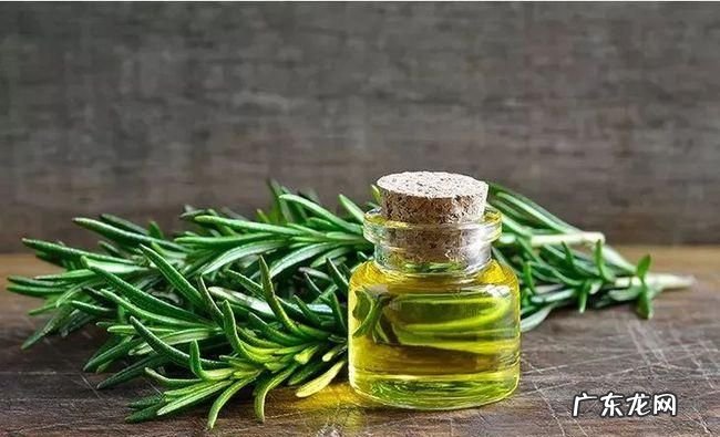 迷迭香可以去除头螨,迷迭香洗头膏的功效与作用