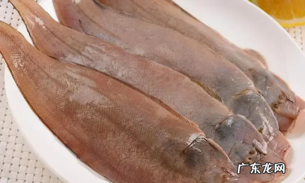 巴沙鱼和龙利鱼的区别,龙利鱼和巴沙鱼的区别