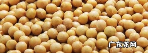 泡豆子为什么要放碱,做豆腐为什么要放石膏