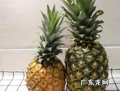 菠萝和凤梨的区别,菠萝和凤梨有什么区别