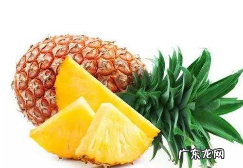 菠萝和凤梨的区别,菠萝和凤梨有什么区别
