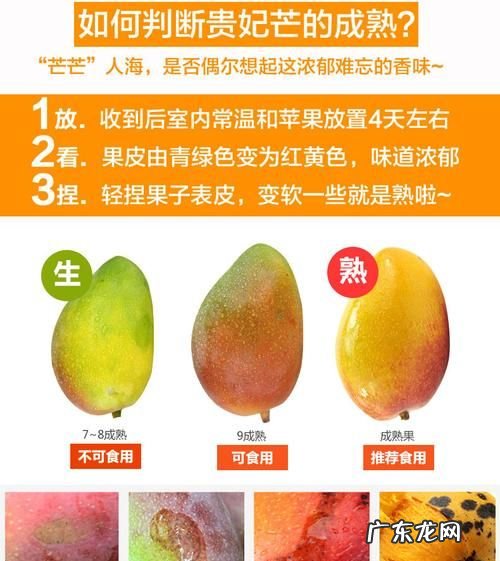贵妃芒催熟哪种方法最快,贵妃芒怎么样催熟快
