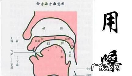 什么是真声什么是假声,唱歌假声和真声的区别