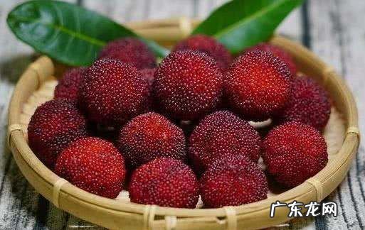 杨梅怎么保存能放时间长一点,水果店杨梅怎么保存能放时间长一点