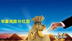 华夏保险有什么分红险,华夏财富宝两全保险分红型鑫享版退保