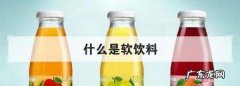 什么是软饮料,什么是软饮料什么是硬饮料