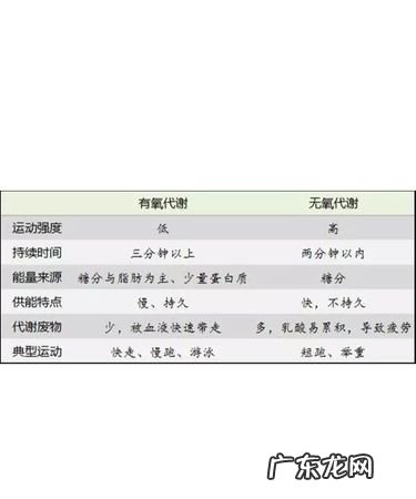 有氧和无氧运动有哪些,哪些属于有氧运动与无氧运动