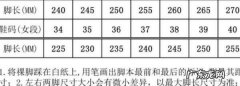 240是多少码,240是多少码