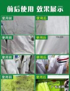 衣服上的霉斑怎么来的,衣服上的霉点怎样去除