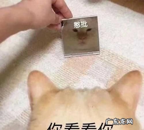 哦内该是什么意思,偶内该是什么意思