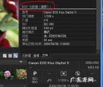 acdsee 如何查看exif,如何查看单反相机机身和照片EXIF信息里的序列号