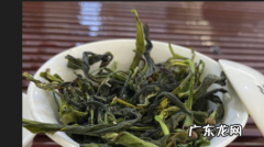 鸭屎香茶哪些人不能饮,鸭屎香茶适合什么人喝什么季节喝
