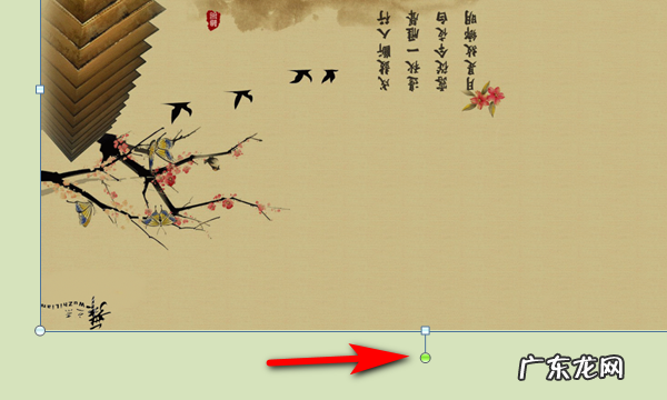 为什么不能旋转,扫描出来的怎么转为pdf