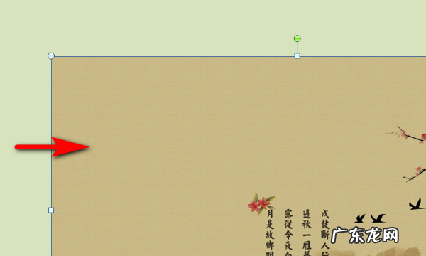 为什么不能旋转,扫描出来的怎么转为pdf