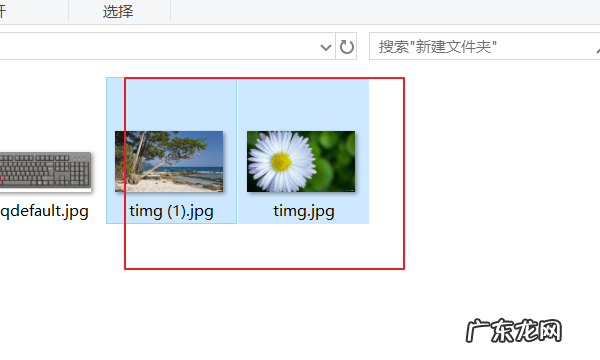 为什么不能旋转,扫描出来的怎么转为pdf