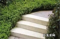 台阶下是什么意思,互相给个台阶下是什么意思