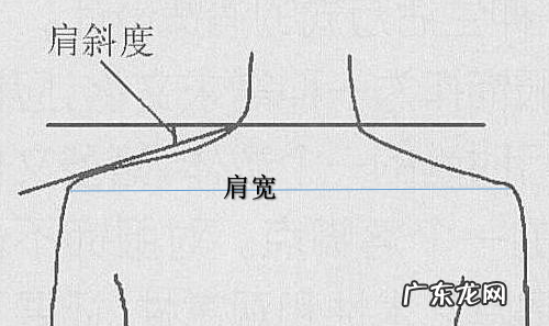 怎么测量肩宽,肩宽怎么量
