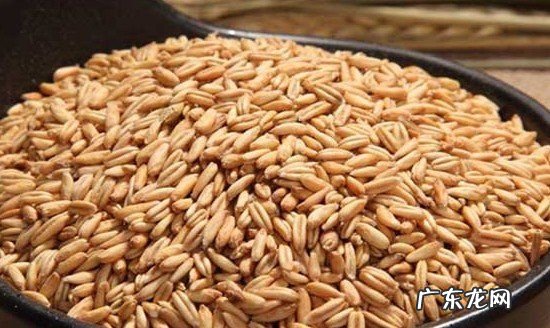 燕麦煮多久会熟,燕麦米煮多久才熟电饭煲