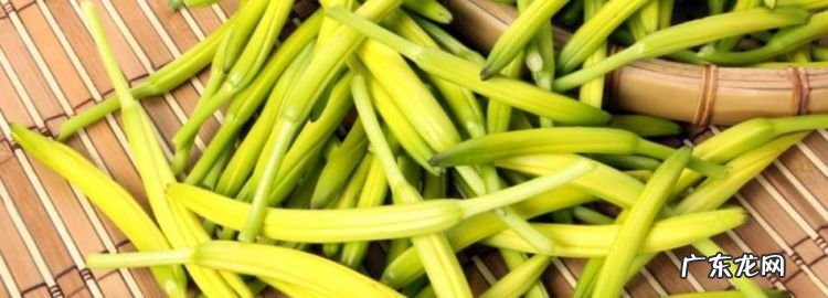金针菜怎么吃,金针菜的吃法及作用