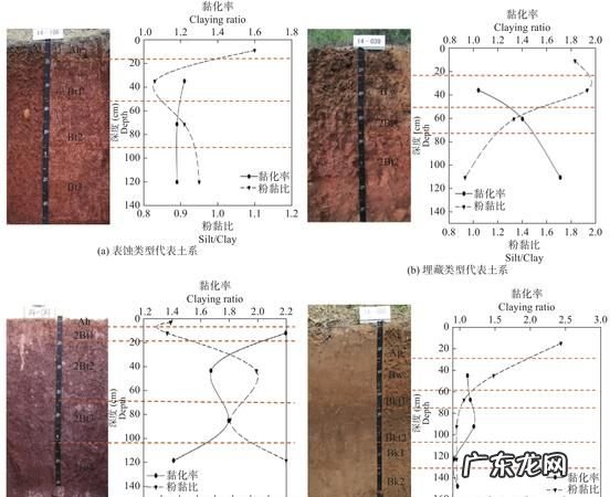 淋溶作用对土壤的影响,土壤的淋溶作用是什么意思