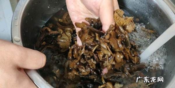 小鸡炖蘑菇的做法,小鸡炖蘑菇的家常做法