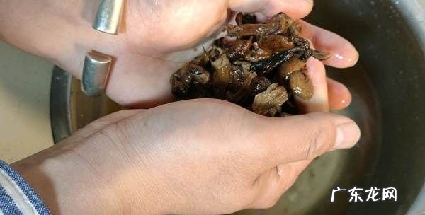 小鸡炖蘑菇的做法,小鸡炖蘑菇的家常做法