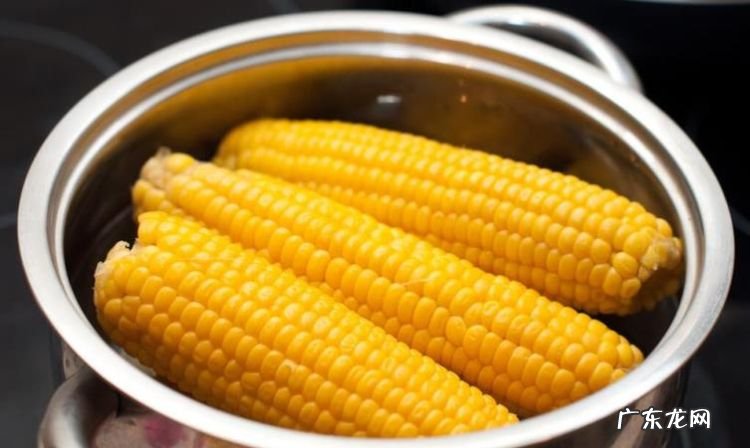老玉米煮多长时间,老玉米煮多长时间最好吃