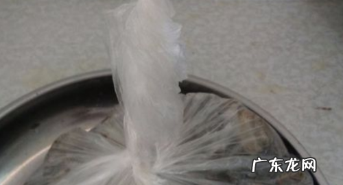 花蛤怎么保存一晚上,花蛤怎么保存