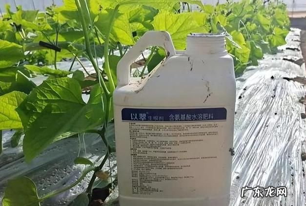 生根粉的成分,生根粉的作用