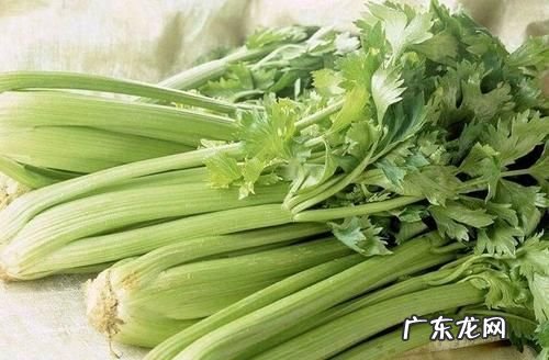 择波菜和芹菜时应去掉什么,菠菜和芹菜应该去掉什么什么和什么