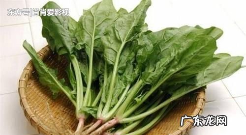 择波菜和芹菜时应去掉什么,菠菜和芹菜应该去掉什么什么和什么