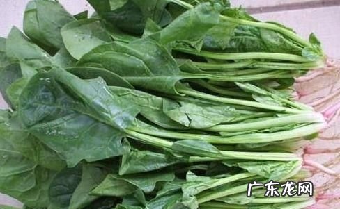 择波菜和芹菜时应去掉什么,菠菜和芹菜应该去掉什么什么和什么