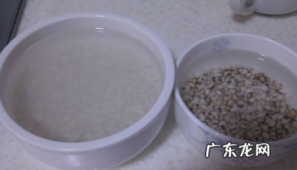 薏米熬粥最佳搭配,薏米可以和什么一起煲汤健脾胃的