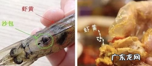 虾黄和屎的区别,虾黄和屎的区别