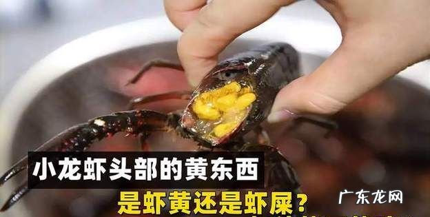虾黄和屎的区别,虾黄和屎的区别
