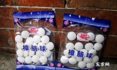 樟脑球能驱赶蟑螂么,樟脑木球能驱赶蟑螂么