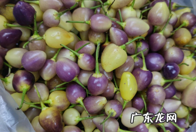 彩椒怎么泡才好吃,七彩椒怎么泡才脆好吃