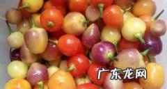 彩椒怎么泡才好吃,七彩椒怎么泡才脆好吃