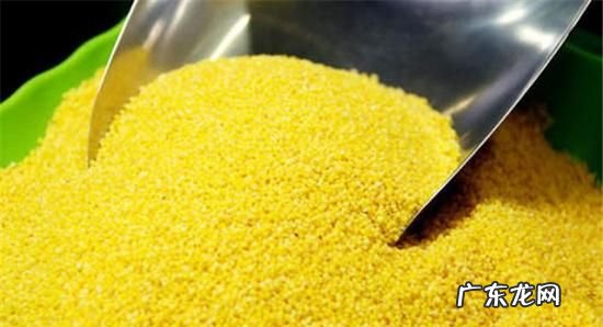 小米和什么相克,小米不能与什么一起吃