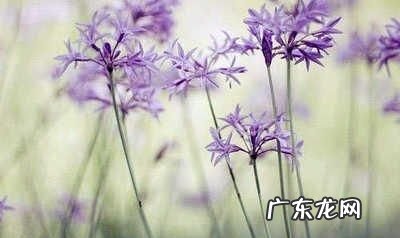 关于不屈不挠的句子,面对困难不屈不挠的名人名言