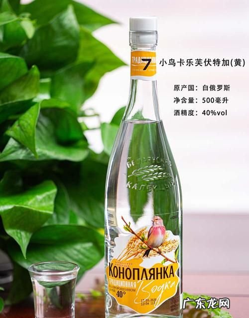 伏特加属于什么酒,伏特加属于什么酒系列