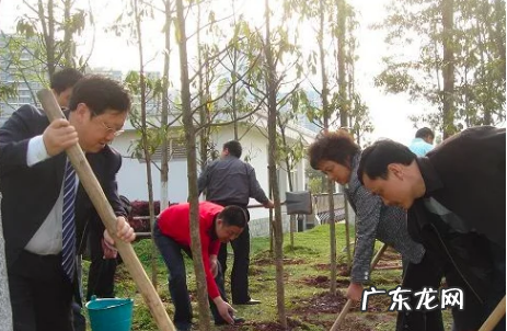 清明节的传统习俗,清明节传统风俗有哪些简单介绍