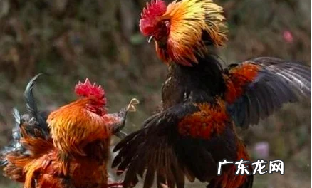 清明节的传统习俗,清明节传统风俗有哪些简单介绍