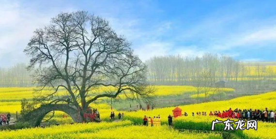 清明节的传统习俗,清明节传统风俗有哪些简单介绍