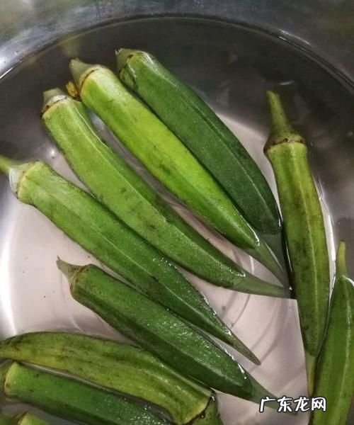 秋葵不焯水能吃,秋葵不焯水可以直接炒