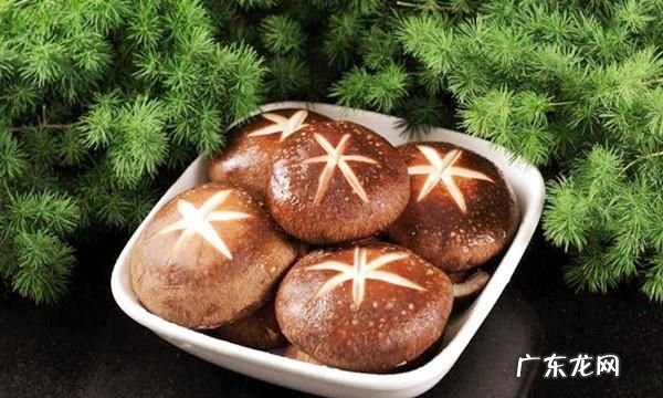 鲜香菇冰箱里面可以放多久,鲜香菇冰箱里面可以放多久